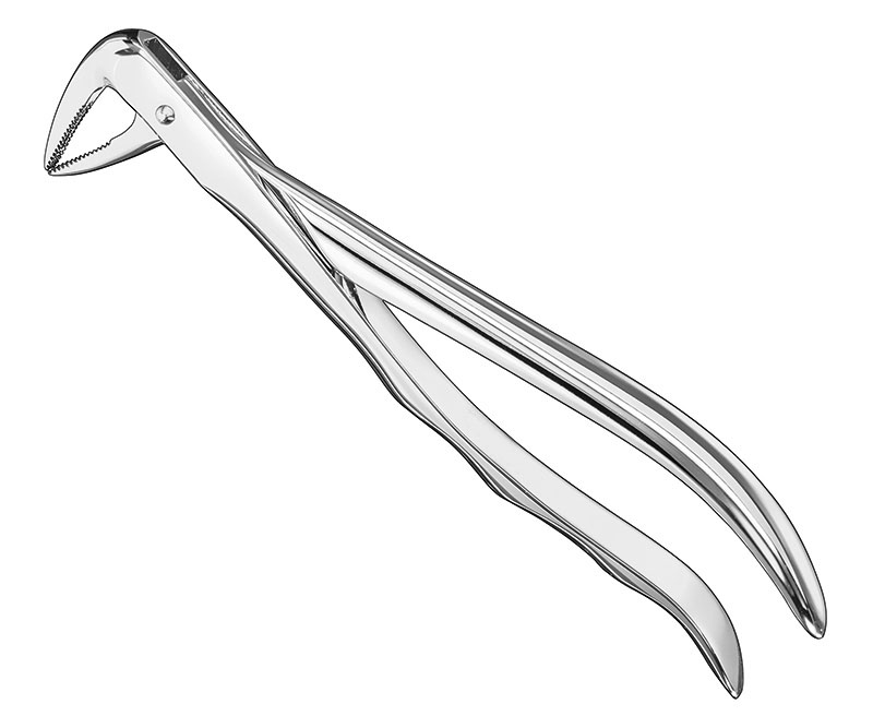 Extracting forceps, anat.