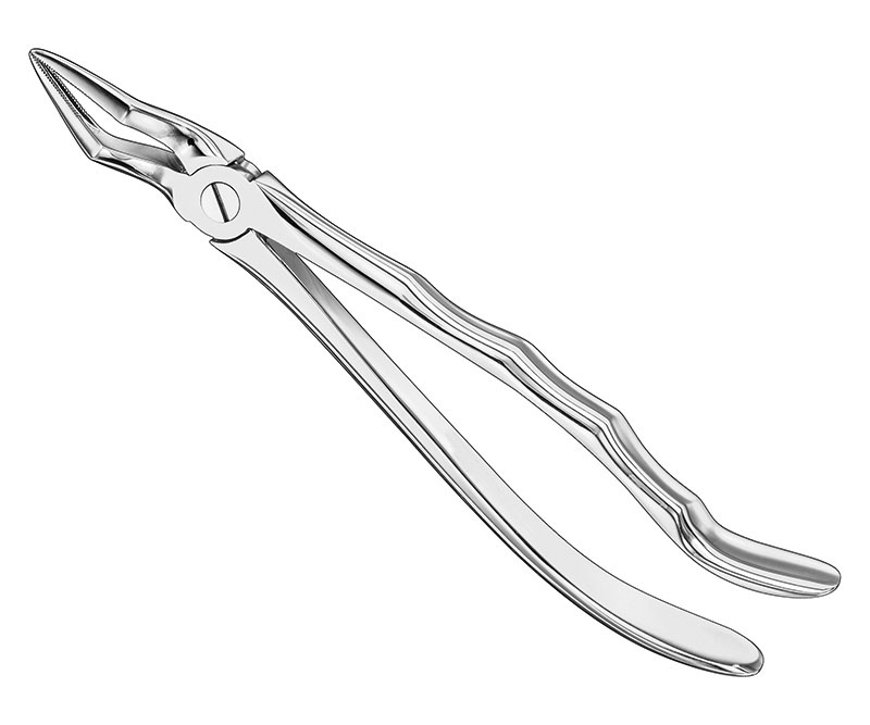 Extracting forceps, anat.