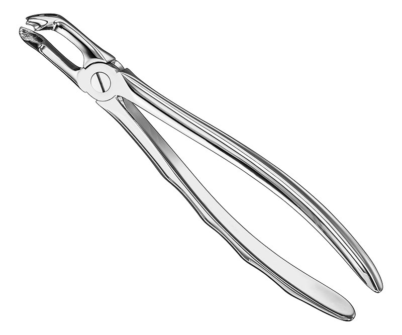 Extracting Forceps Anatomically Shaped Handle Standard