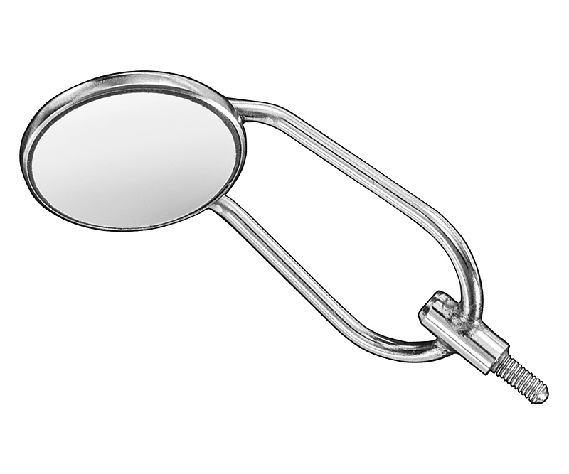 Mouth mirror/cheek retractor