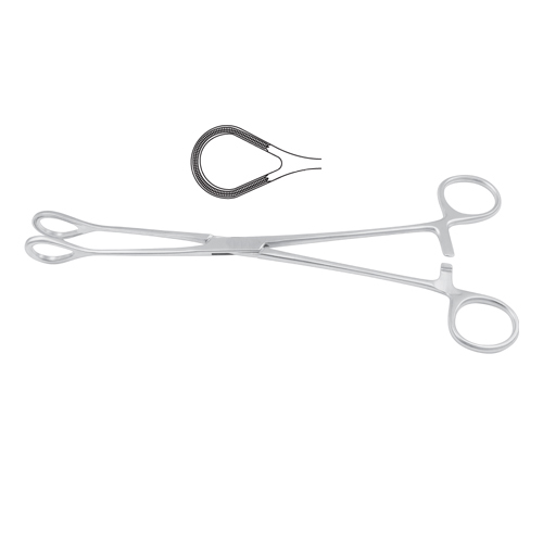 Organ Grasping Forcep